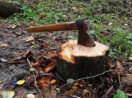 axe-497181-1280